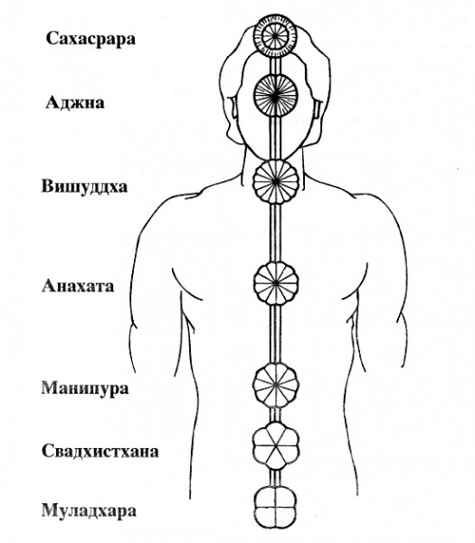 Высший духовный сан 7 букв. Сахасрара чакра. Чакры.